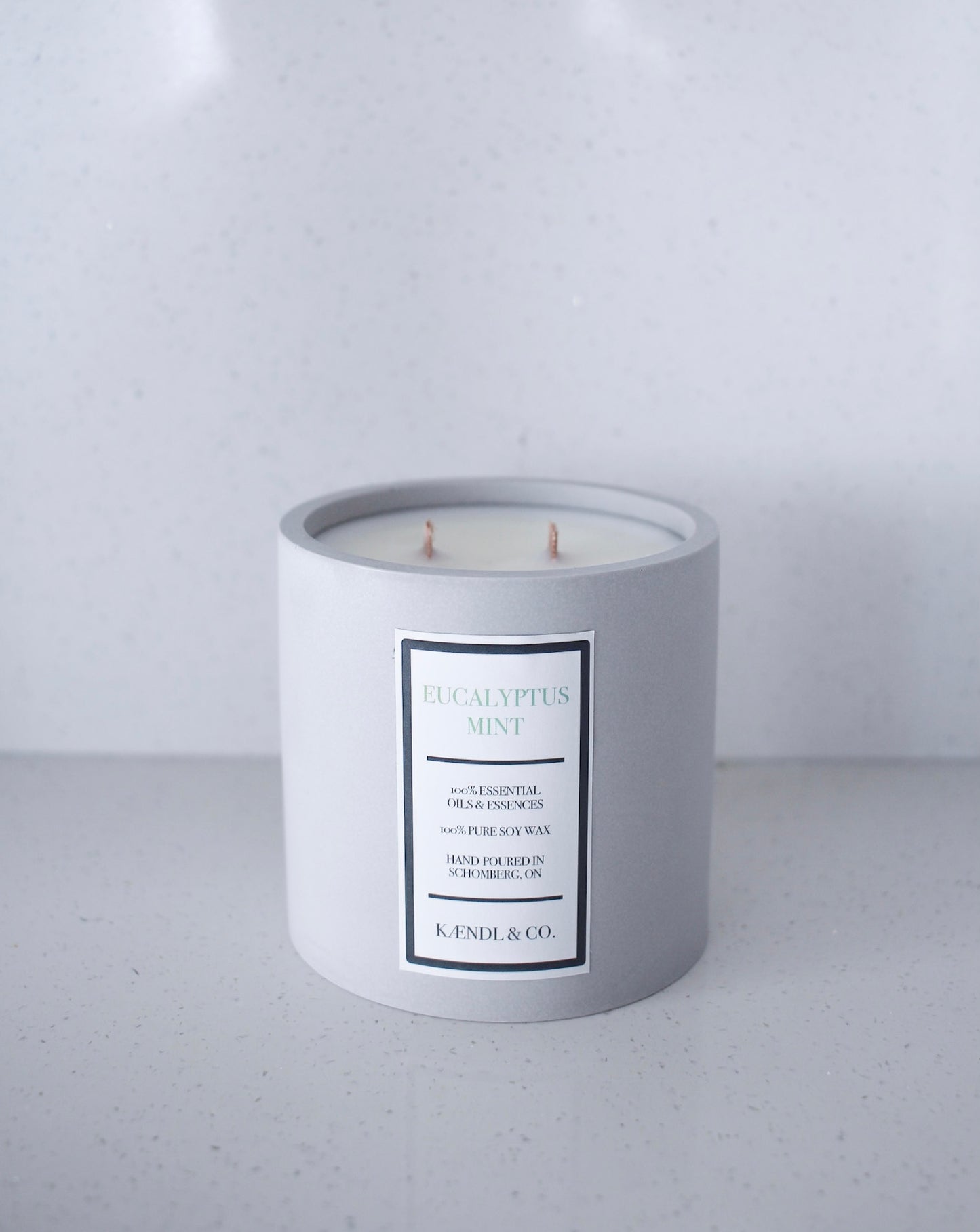 11 oz Eucalyptus Mint Soy Candle