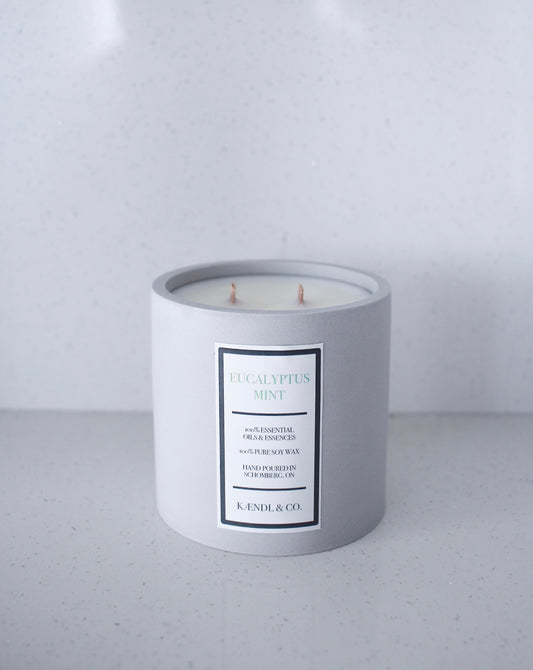 11 oz Eucalyptus Mint Soy Candle